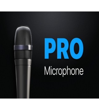 Pro Microphone Steam Key GLOBAL